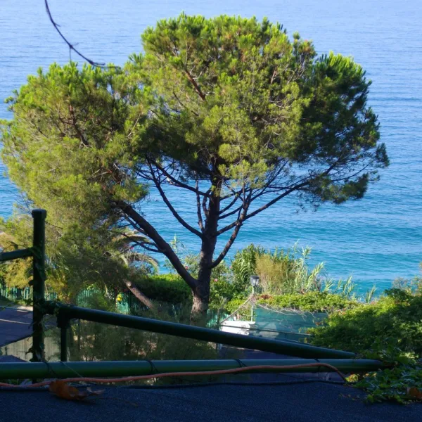 camping-la-secca-moneglia-f1ly6