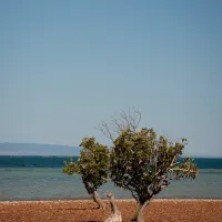 Fitzgerald Bay Campground