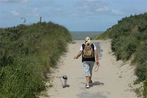 camping-de-zwinhoeve-retranchement-6w3nz
