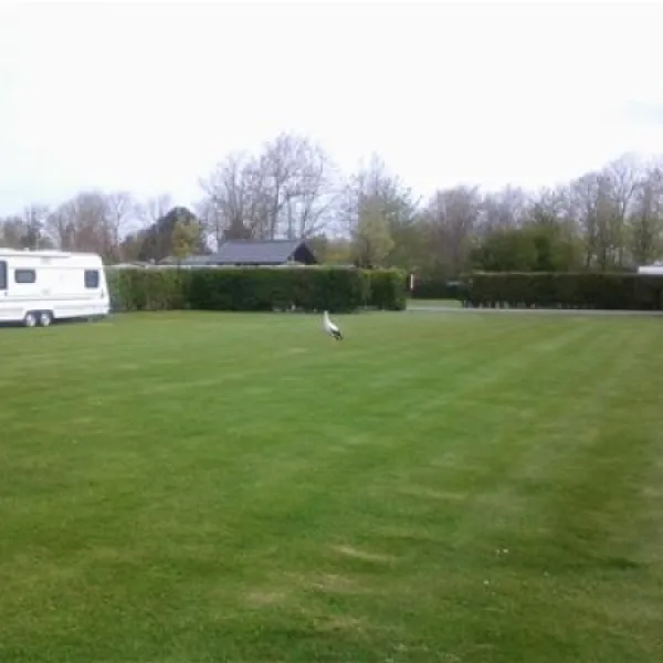 camping-de-zwinhoeve-retranchement-8ocag