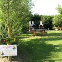 camping-les-charmes-apremont-mpuax