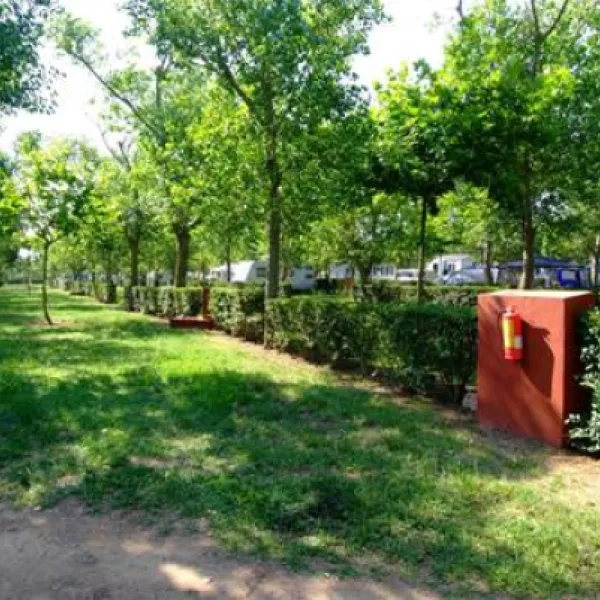 camping-playa-brava-platja-de-pals-fb5w5