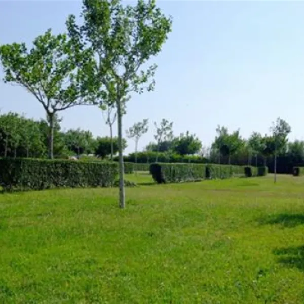 camping-playa-brava-platja-de-pals-kwoka