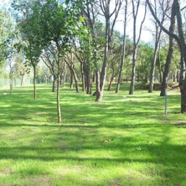 camping-playa-brava-platja-de-pals-ngf1e