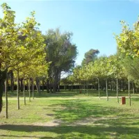 camping-playa-brava-platja-de-pals-pi7sh