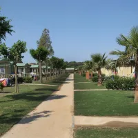 camping-playa-brava-platja-de-pals-vsa75