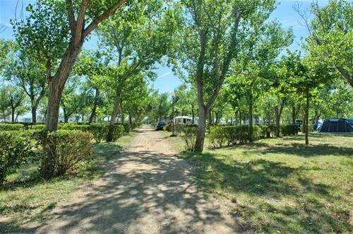 camping-playa-brava-platja-de-pals-xfpck