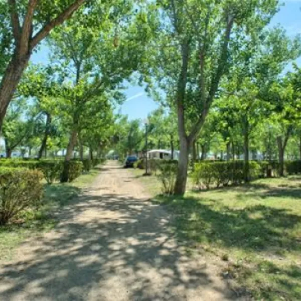 camping-playa-brava-platja-de-pals-xfpck