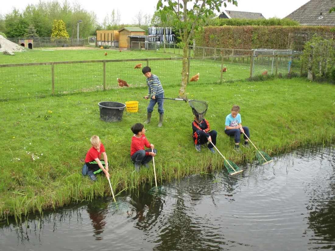 minicamping-het-twiskerveld-twisk-auw5o