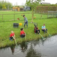 minicamping-het-twiskerveld-twisk-auw5o