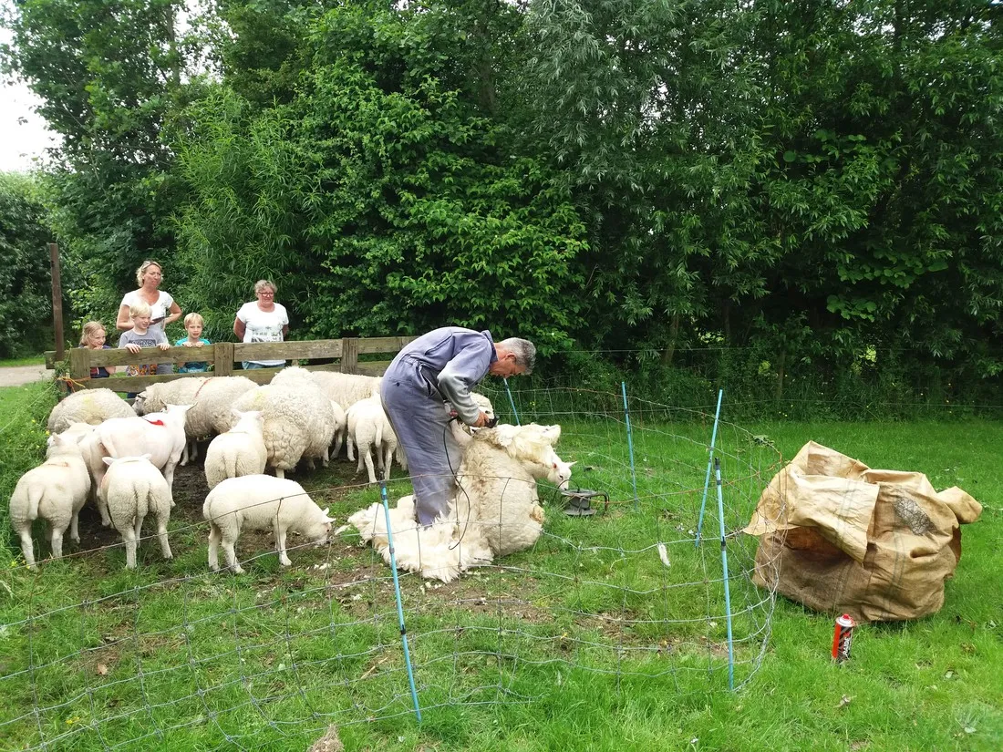 minicamping-het-twiskerveld-twisk-juymb