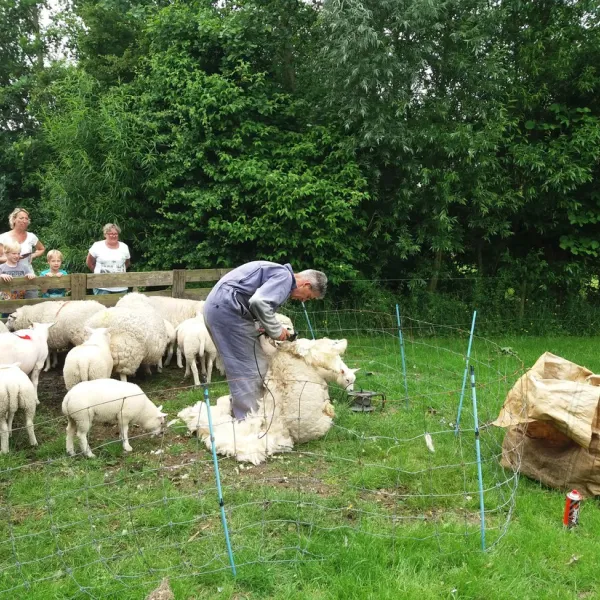 minicamping-het-twiskerveld-twisk-juymb