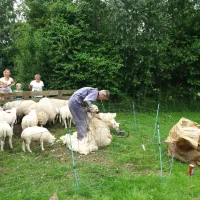 minicamping-het-twiskerveld-twisk-juymb