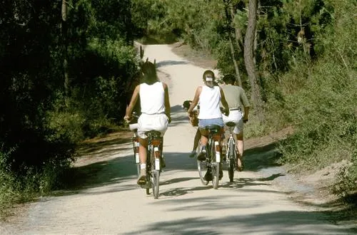 camping-le-chaponnet-brem-sur-mer-cnzgw