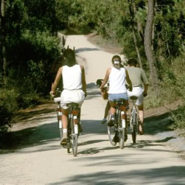 camping-le-chaponnet-brem-sur-mer-cnzgw