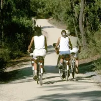 camping-le-chaponnet-brem-sur-mer-cnzgw
