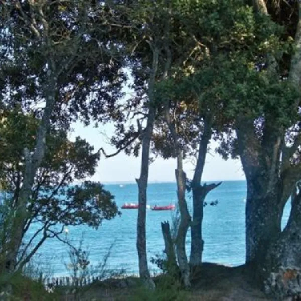 camping-le-chaponnet-brem-sur-mer-qc3qy