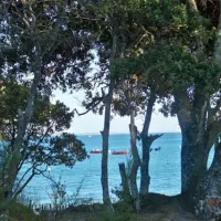 camping-le-chaponnet-brem-sur-mer-qc3qy