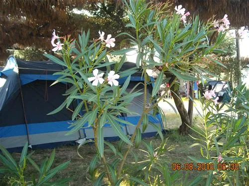porto-cesareo-camping-porto-cesareo-6onvw