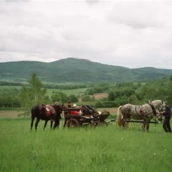 durdahorse-farm-nowa-ruda-2uhks