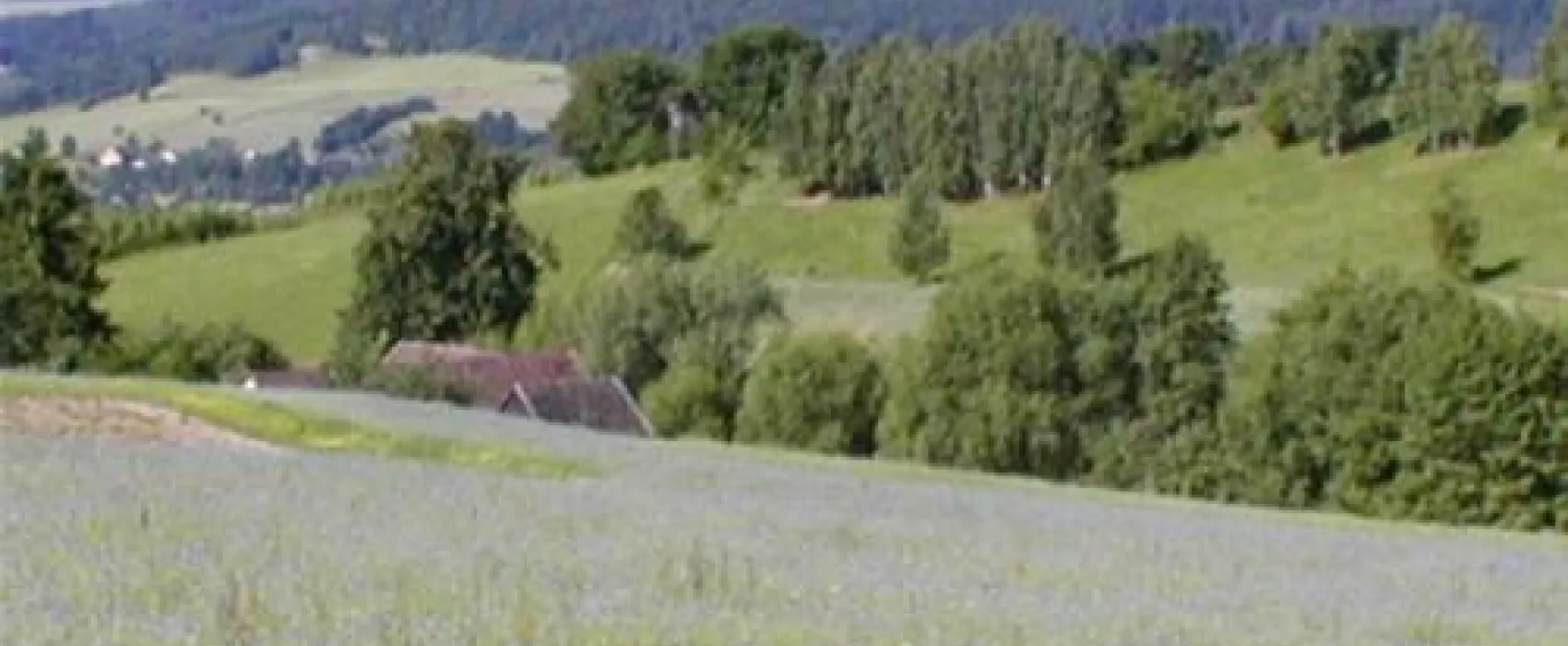 Durda-Horse Farm