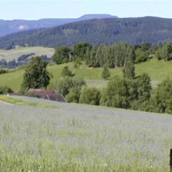 durdahorse-farm-nowa-ruda-4rli0
