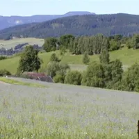 Durda-Horse Farm
