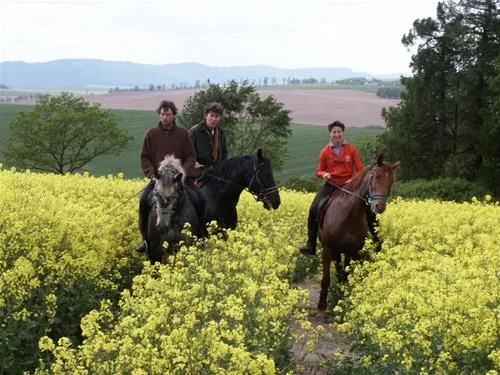 durdahorse-farm-nowa-ruda-w2yd2