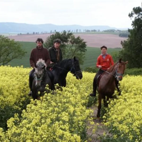 durdahorse-farm-nowa-ruda-w2yd2
