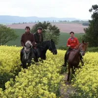 durdahorse-farm-nowa-ruda-w2yd2