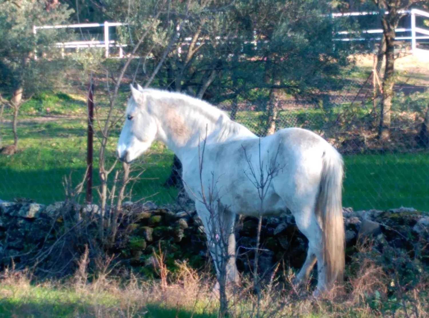 camping-valverde-natural-valverde-del-fresno-fbx3q