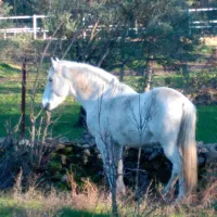 Camping Valverde Natural