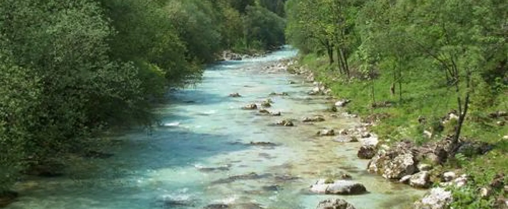 Kamp Polovnik