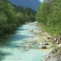 Kamp Polovnik