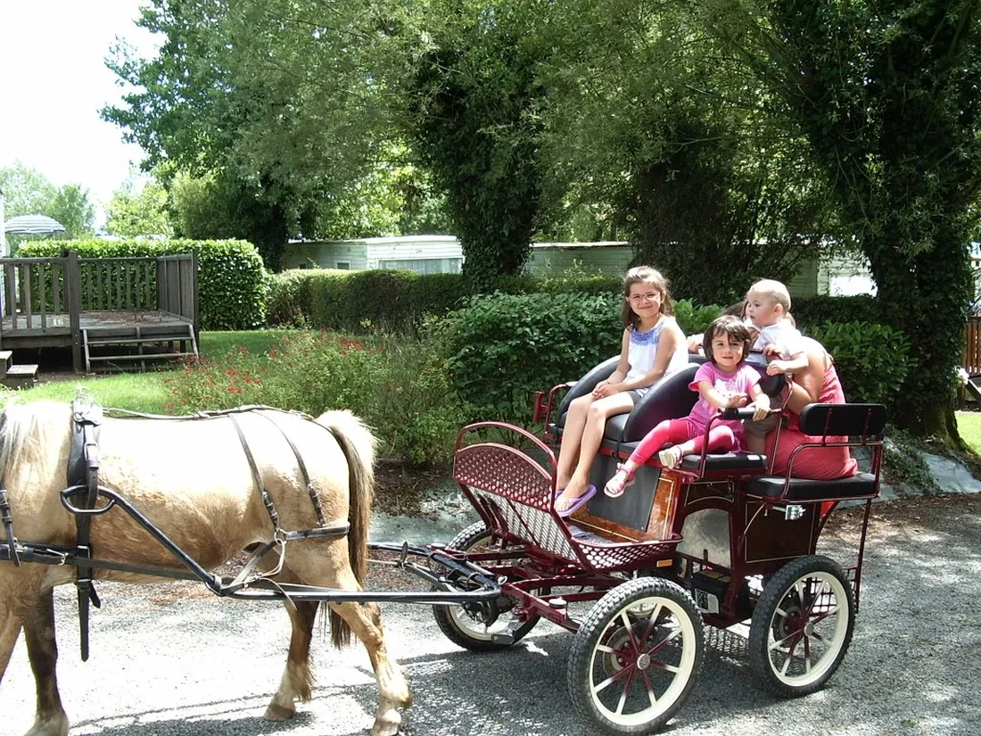 camping-aire-naturelle-de-bellevue-st-christophe-du-ligneron-xe6d1