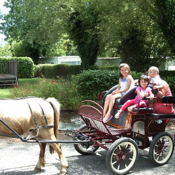 camping-aire-naturelle-de-bellevue-st-christophe-du-ligneron-xe6d1