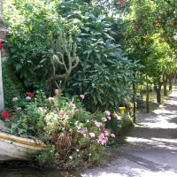 campeggio-seiano-spiaggia-vico-equense-ckiun
