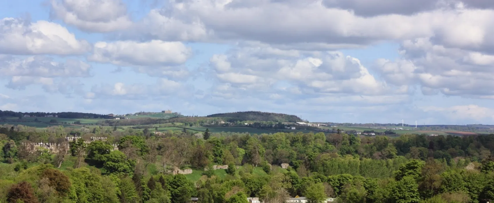Springwood Caravan Park