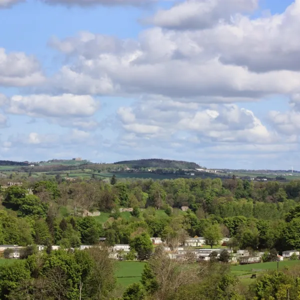 springwood-caravan-park-kelso-bik5d