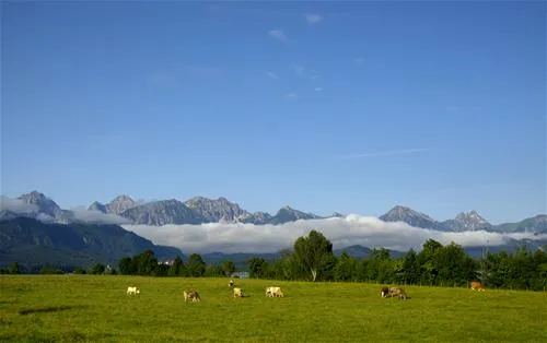 camping-brunnen-brunnen-i5z1g