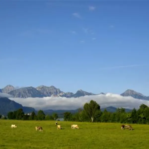 camping-brunnen-brunnen-i5z1g