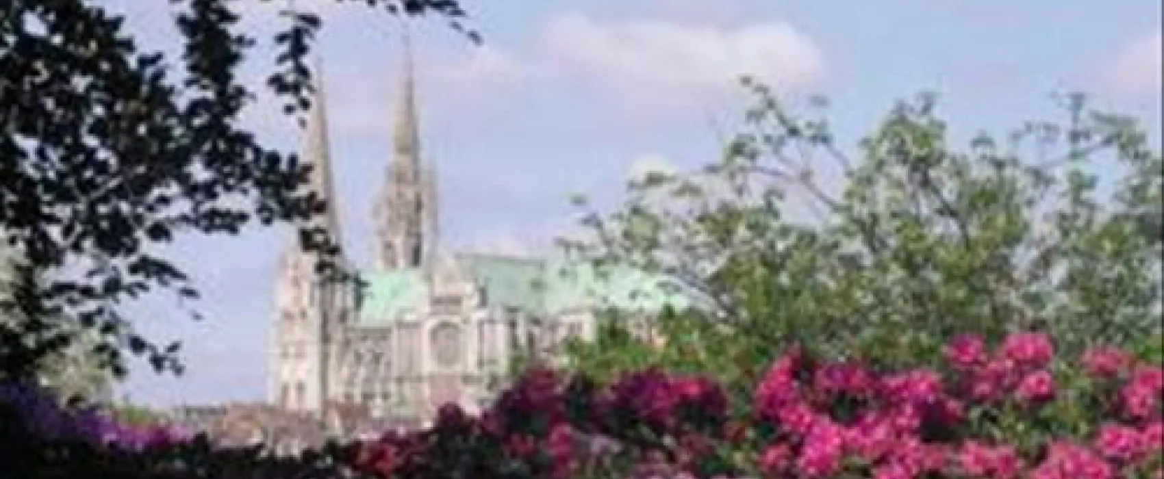 Flower Camping - Le Bois Fleuri