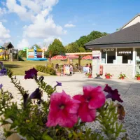 flower-camping-le-bois-fleuri-illiers-combray-limy5