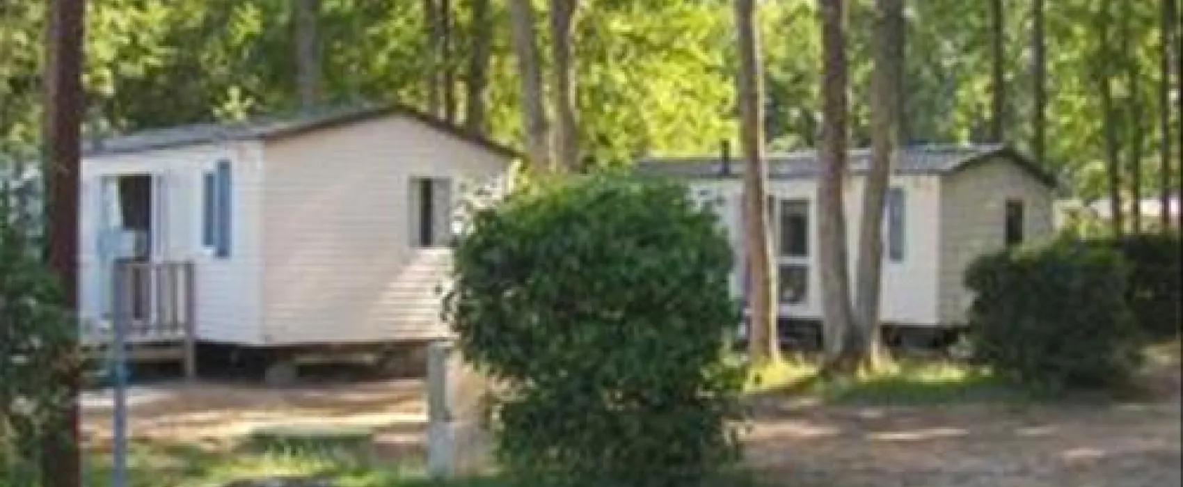 Flower Camping - Le Bois Fleuri