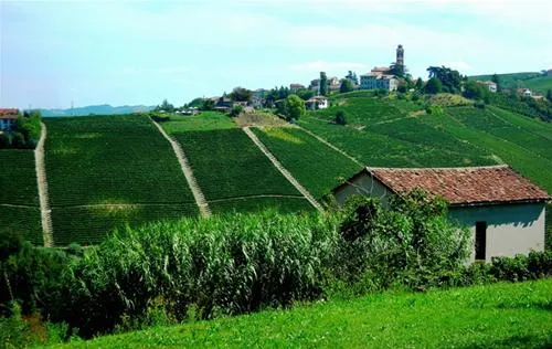 ai-ciuvin-agriturismo-e-camping-castiglione-tinella-mtnv7