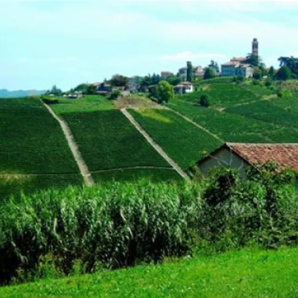 ai-ciuvin-agriturismo-e-camping-castiglione-tinella-mtnv7