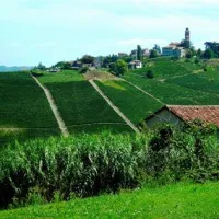ai-ciuvin-agriturismo-e-camping-castiglione-tinella-mtnv7