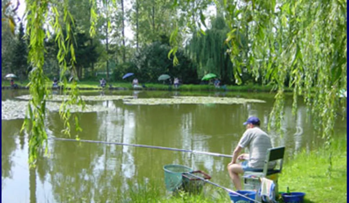 camping-berkenstrand-retie-xptph