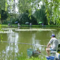 camping-berkenstrand-retie-xptph