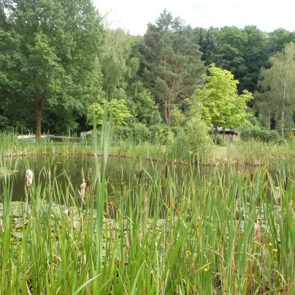 campingpark-lindelgrund-guldental-5s26c